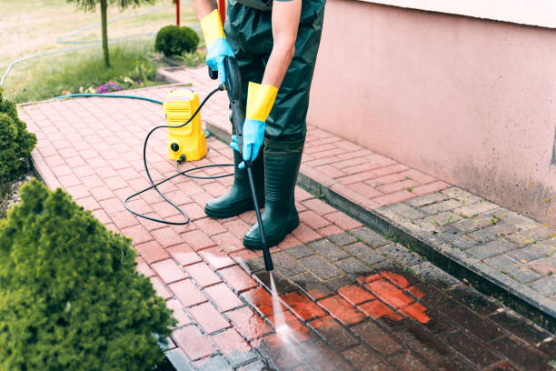 Best Garage Pressure Washing  in Dillingham, AK
