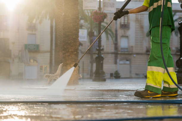 Best Fence Pressure Washing  in Dillingham, AK