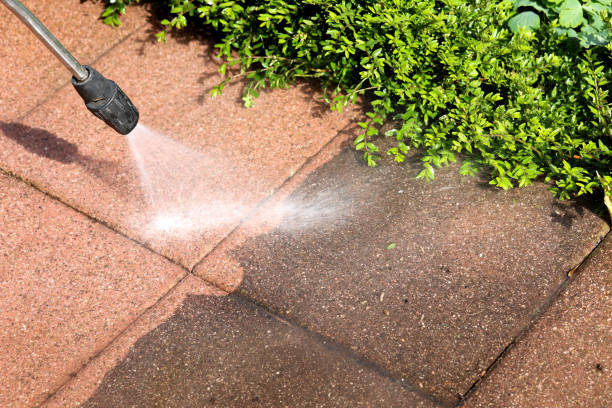 Best Residential Pressure Washing Services  in Dillingham, AK